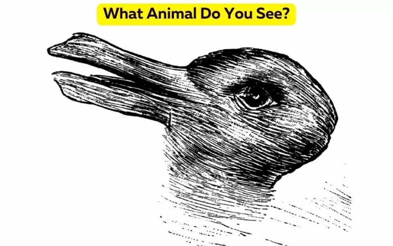 اعرف نفسك «خيالي أم عقلاني».. ما هو أول حيوان تراه في الصورة؟