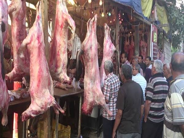 الكيلو بـ 220 جنيه.. أسعار اللحوم الحمراء في منافذ وزارة الزراعة بعد عيد الأضحى