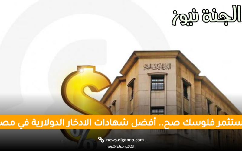 استثمر فلوسك صح.. أفضل شهادات الادخار الدولارية في مصر