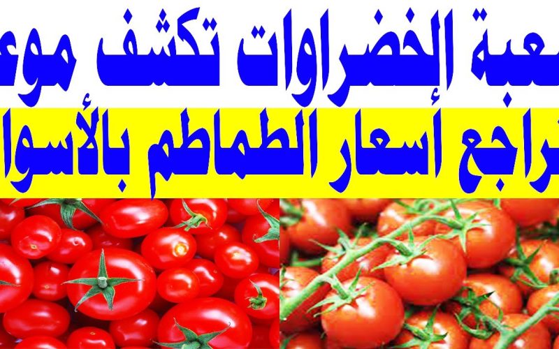 “الأوطة هتعقل من جديد”.. شعبة الخضروات تحدد موعد عودة أسعار الطماطم لسابق عهدها