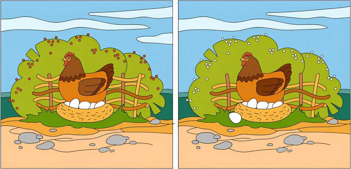 Spot 5 differences 1