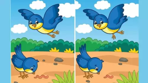 brain teaser spot the difference picture puzzle can you spot 5 differences in these pictu 64fb14ba0749330548295 500