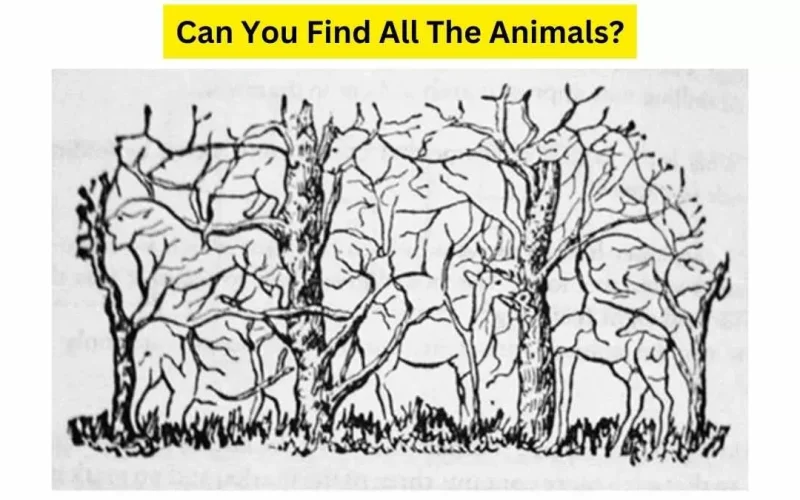 «للأذكياء فقط».. هل يمكنك العثور على جميع الحيوانات المخفية؟