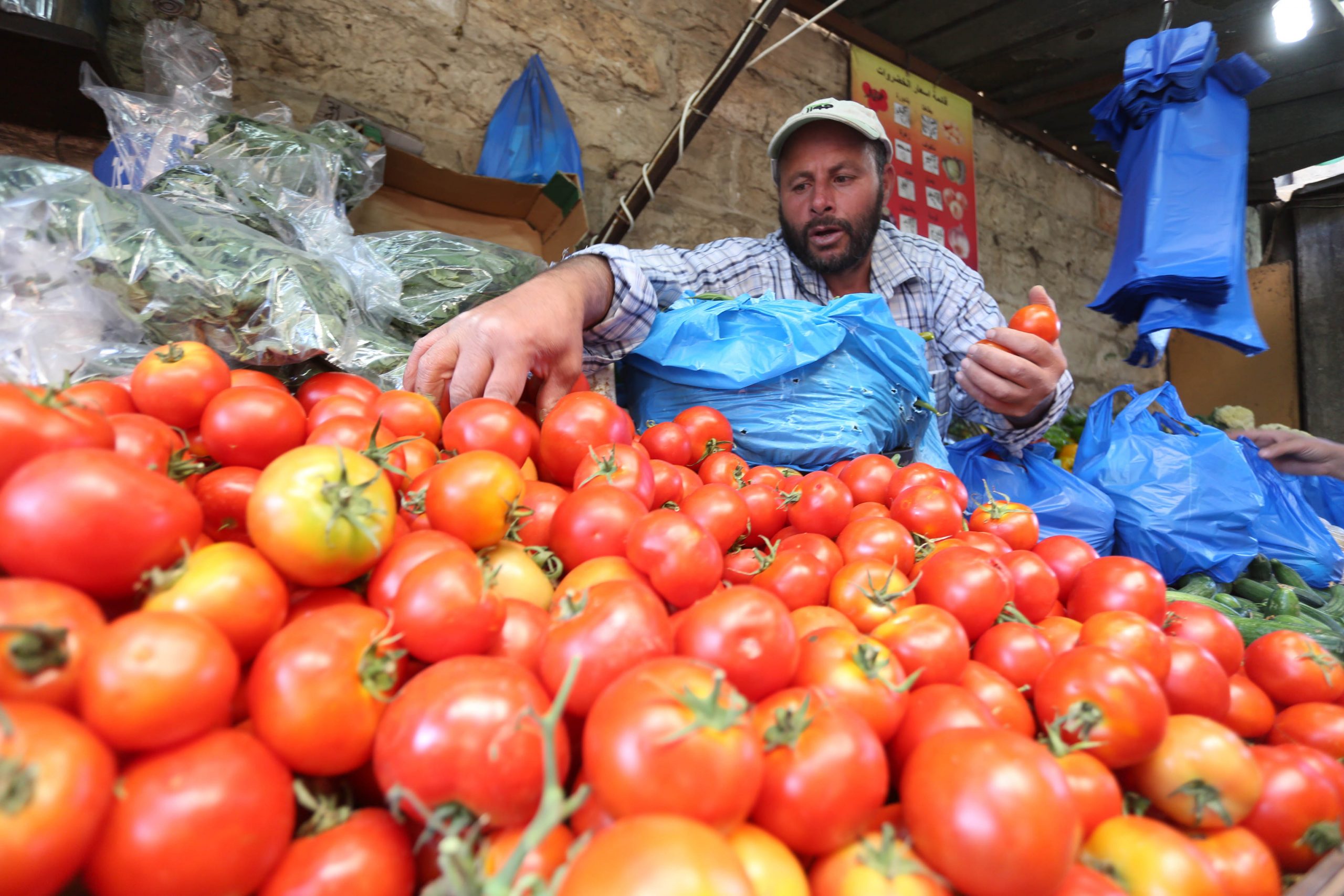 رئيس شعبة الخضراوات يكشف هبوط أسعار الطماطم