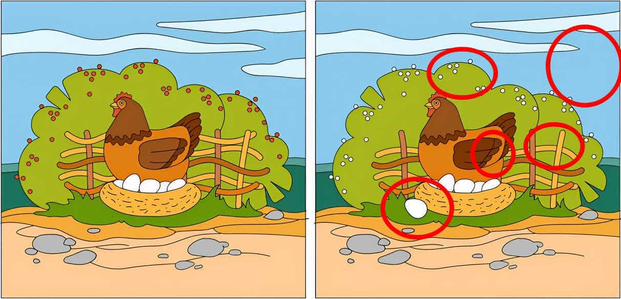 spot 5 differences solution 1