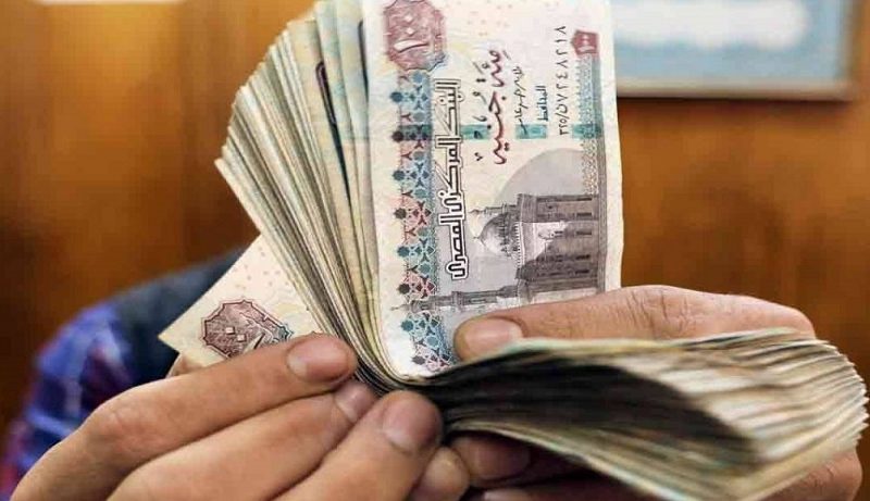 يتوفر لفئات معينه.. تفاصيل قرض باب رزق من البنك الزراعي المصري| يصل إلى 50 ألف جنيه