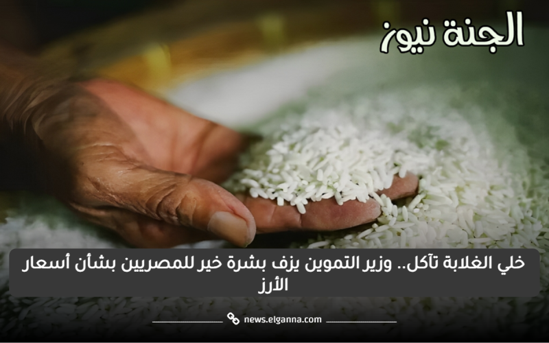 خلي الغلابة تآكل.. وزير التموين يزف بشرة خير للمصريين بشأن أسعار الأرز