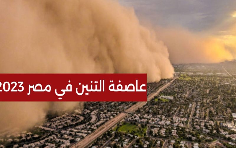 “بعد العاصفة دانيال”.. هل تتأثر مصر بعاصفة التنين وحقيقة تعليق الدراسة لسوء الأحوال الجوية